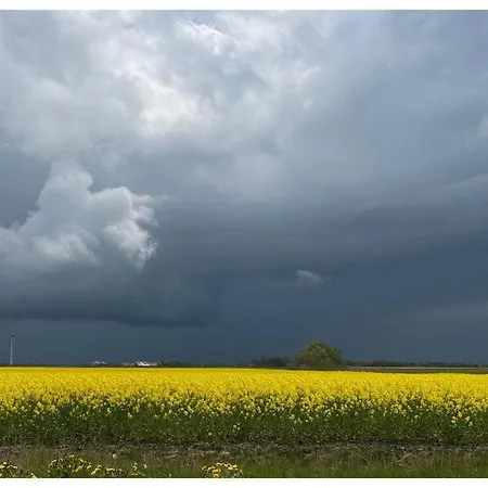 Ebbe Comfortable * Esens