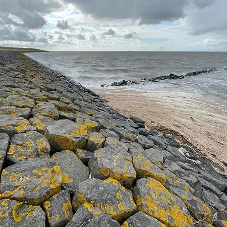 Ebbe Comfortable Esens