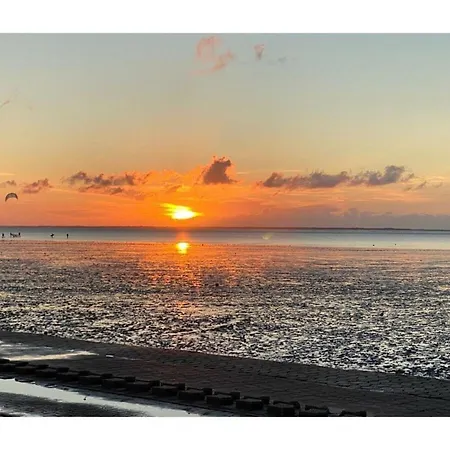 Ebbe Comfortable 別荘 *