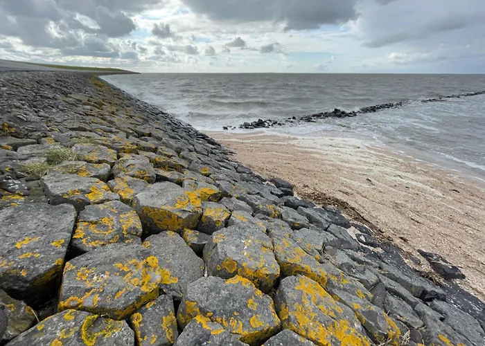 Ebbe Comfortable Esens